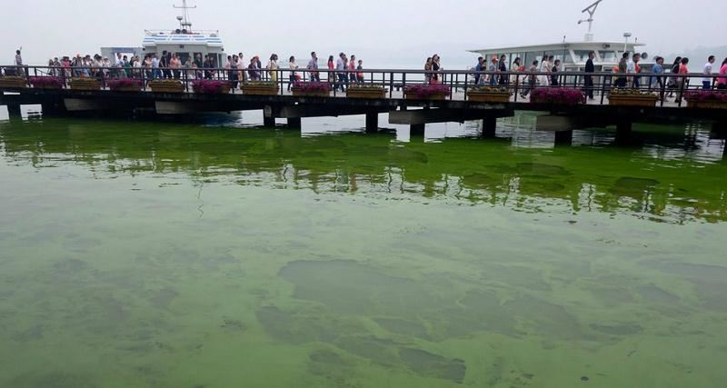 企業微信截圖_15912451564716